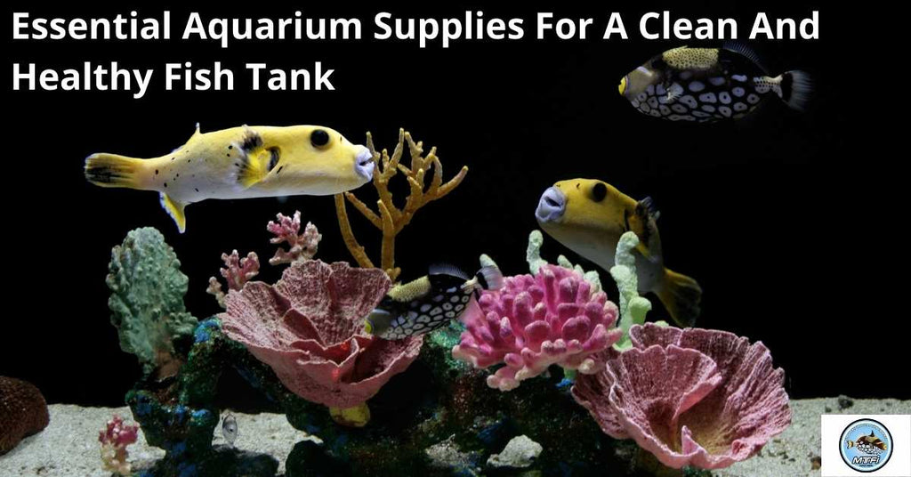 https://cdn.shopify.com/s/files/1/1866/6367/files/Essential_Aquarium_Supplies_For_A_Clean_And_Healthy_Fish_Tank_1024x1024.jpg?v=1631006636