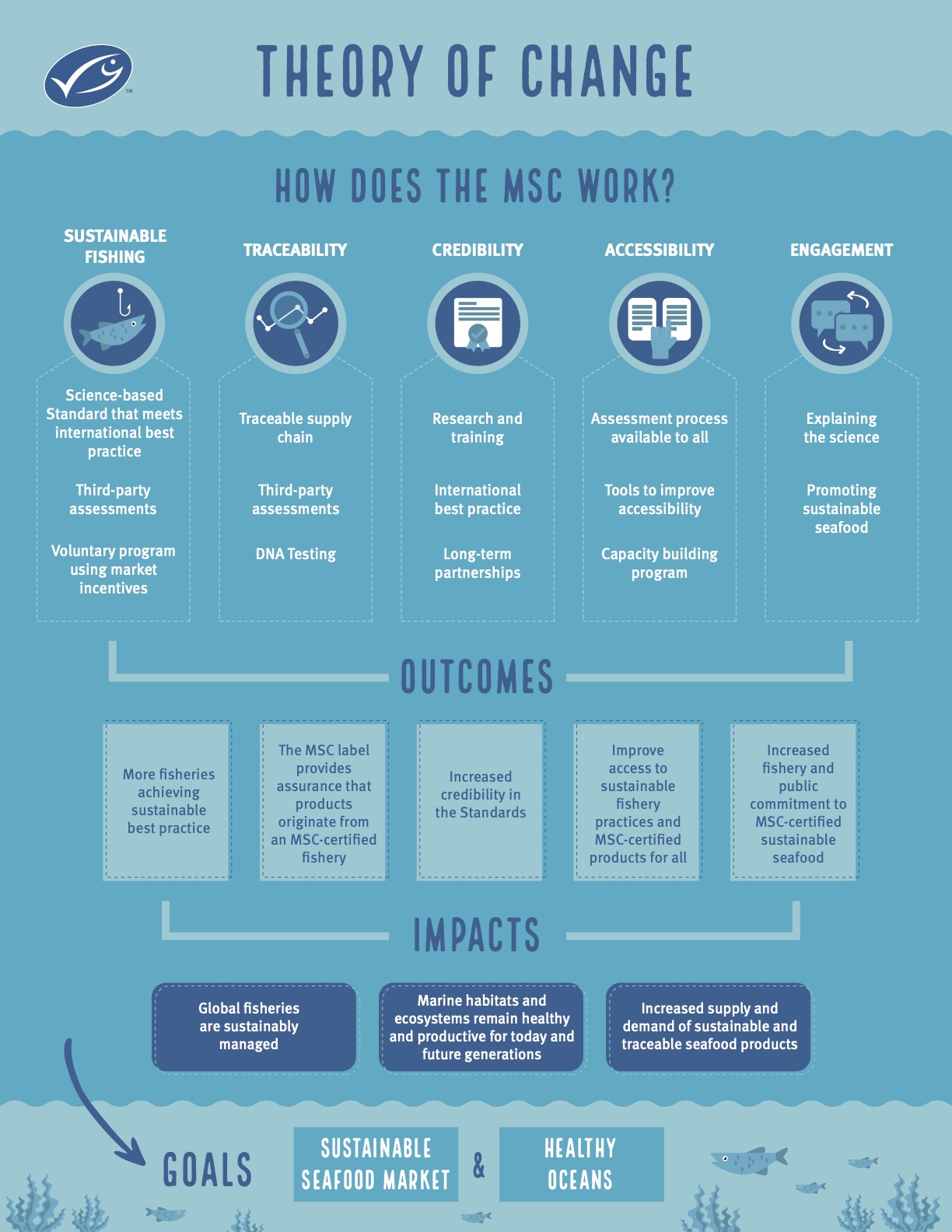 MSC Theory of Change infographic