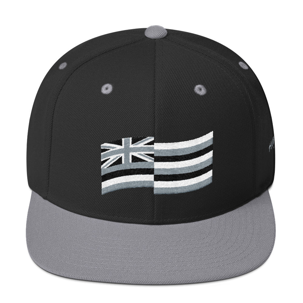 Download HiLife Hat Snapback Flag Muted - HiLife Clothing Co.