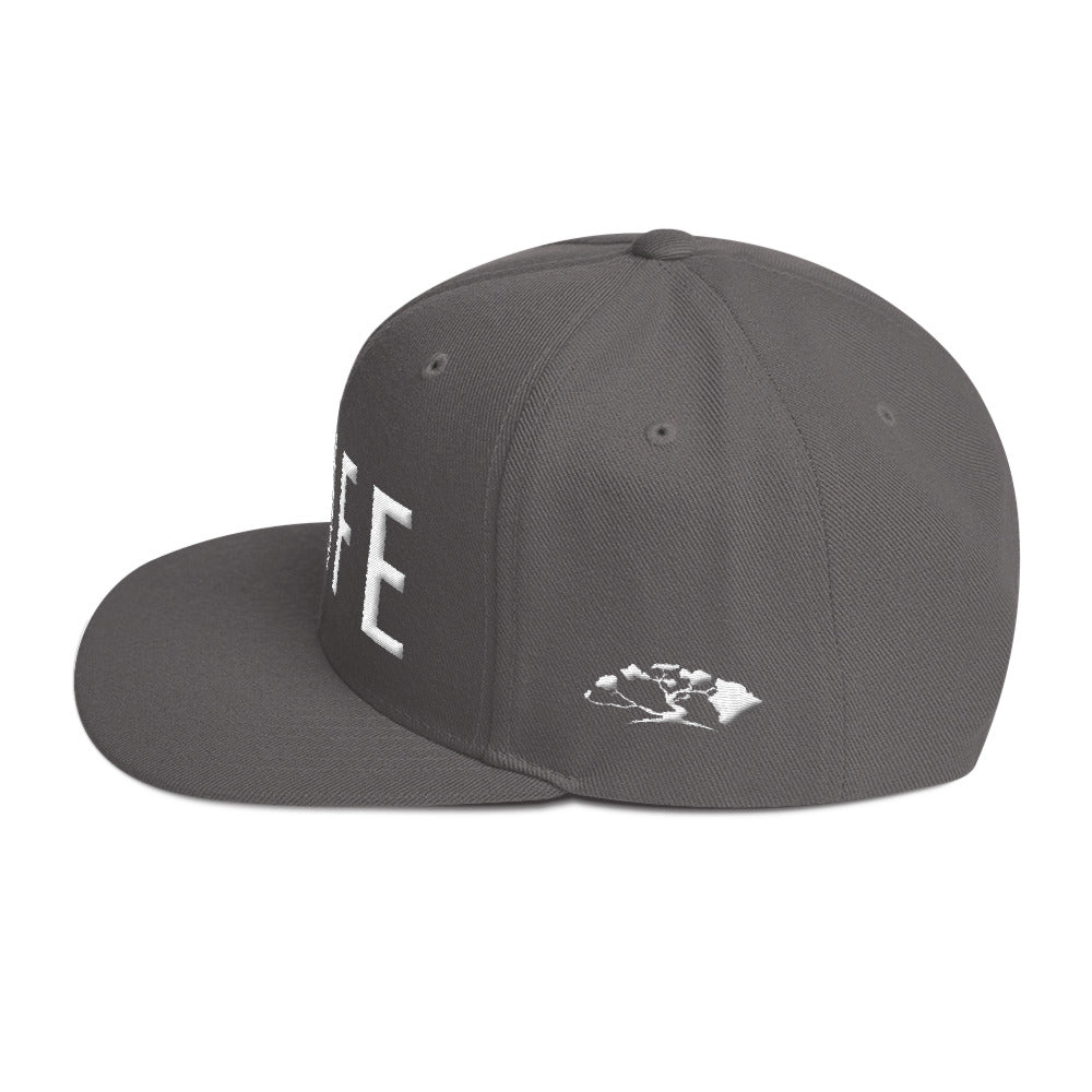 Download HiLife Hat Snapback Caps Lock Silver - HiLife Clothing Co.