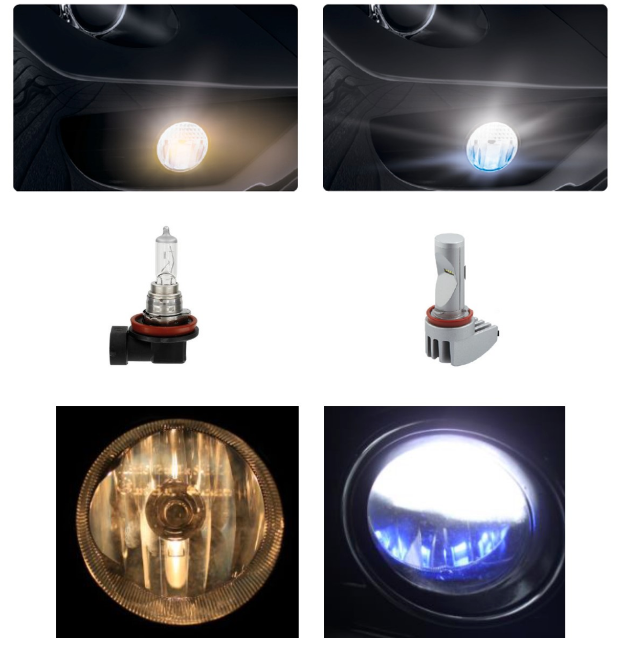 Светодиодная противотуманная лампа h11. Лампочки h11 led Osram. Светодиодные лампы н16 в ПТФ. Лампочки Осрам h11 лед. Led лампы h11 в ПТФ.