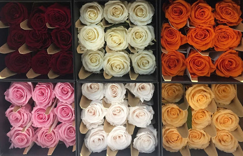 The Meaning Of Rose Colours Magic Flower Company