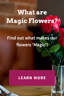 Red Roses: Their Meaning, Symbolism and History – Magic Flower Company