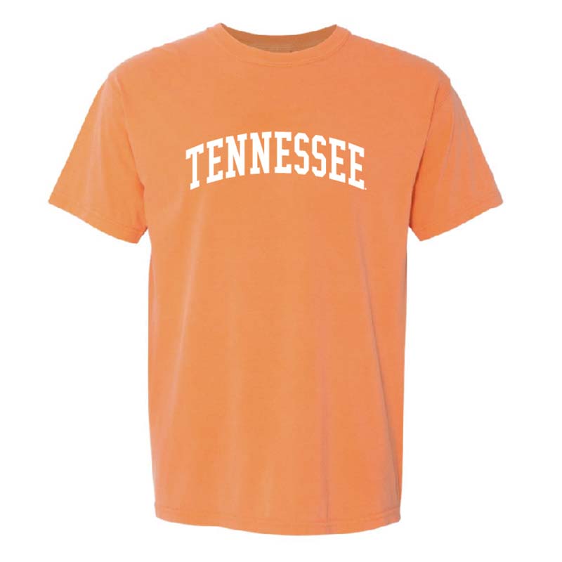 Image of UT Arch Short Sleeve T-Shirt in Melon