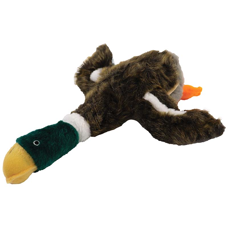  Duck Toy 