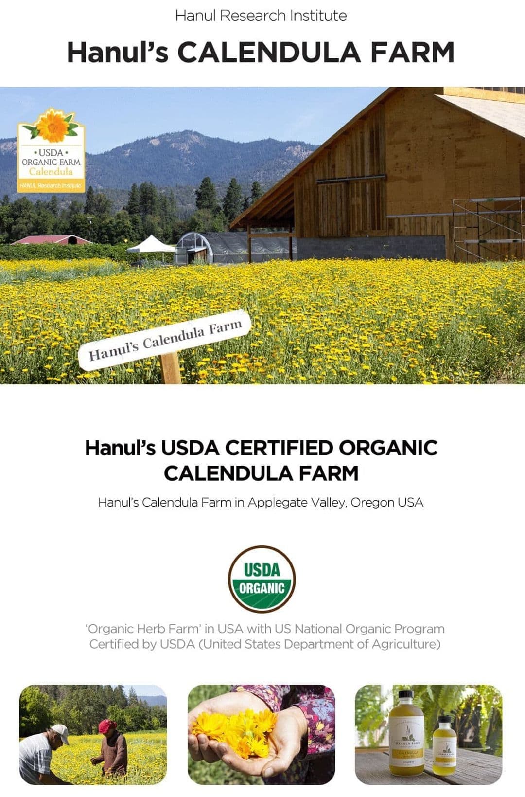 Rico USDA Certified Organic Calendula Farm