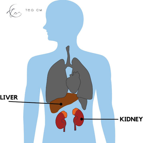 Nourish & Tonify Liver & Kidney