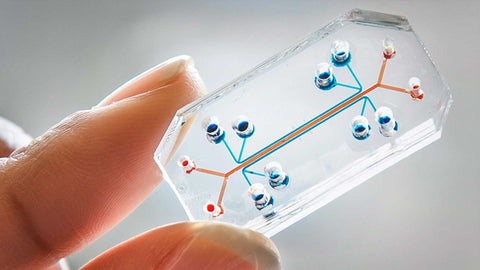 Microfluidic Chips Market