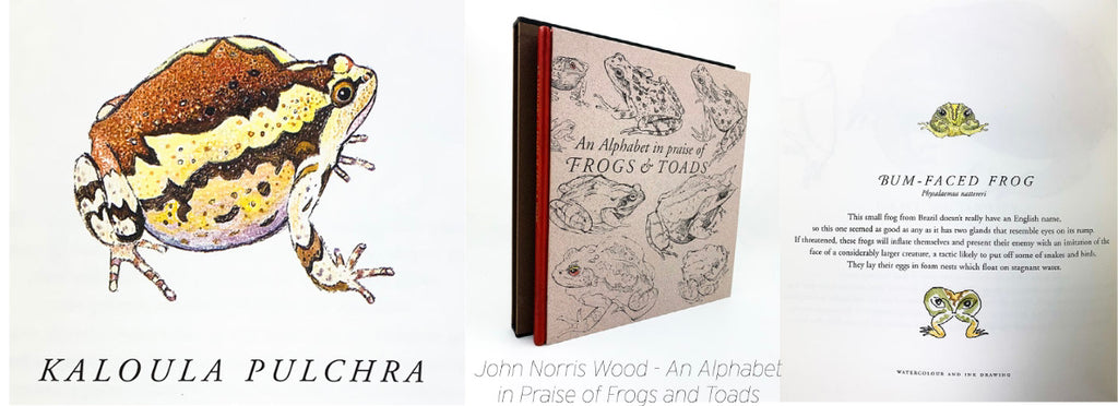 John Norris Wood - An Alphabet in Praise of Frogs and Toads | Inky Parrot Press | Cheltenham Rare Books