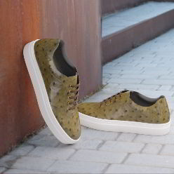 Exotic ostrich Low Top Trainer