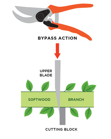 GARDENA - Do you know the difference between bypass and anvil