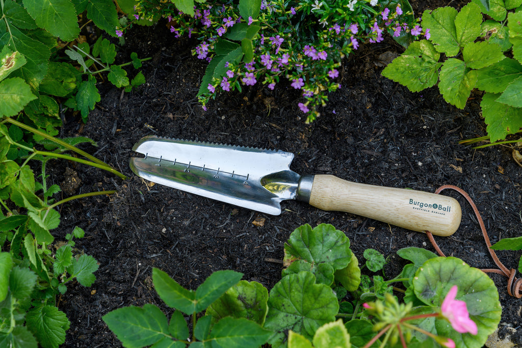 Burgon & Ball RHS-endorsed weeding trowel