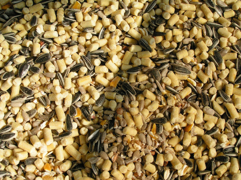 A good-quality seed mix with suet pellets