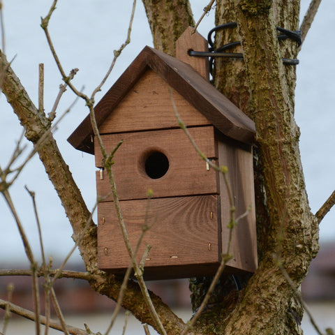 A birdbox offers useful winter shelter