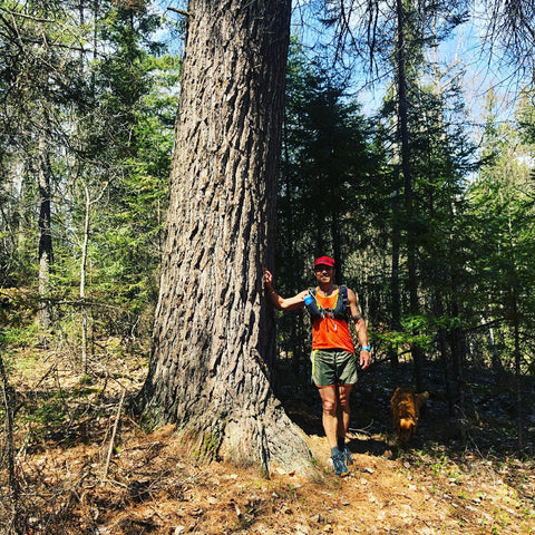 Carl Skustad Trail Running Fall Forest