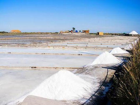 Visita guiada às Salinas de Aveiro - o ouro branco aveirense – Turismo in  Aveiro