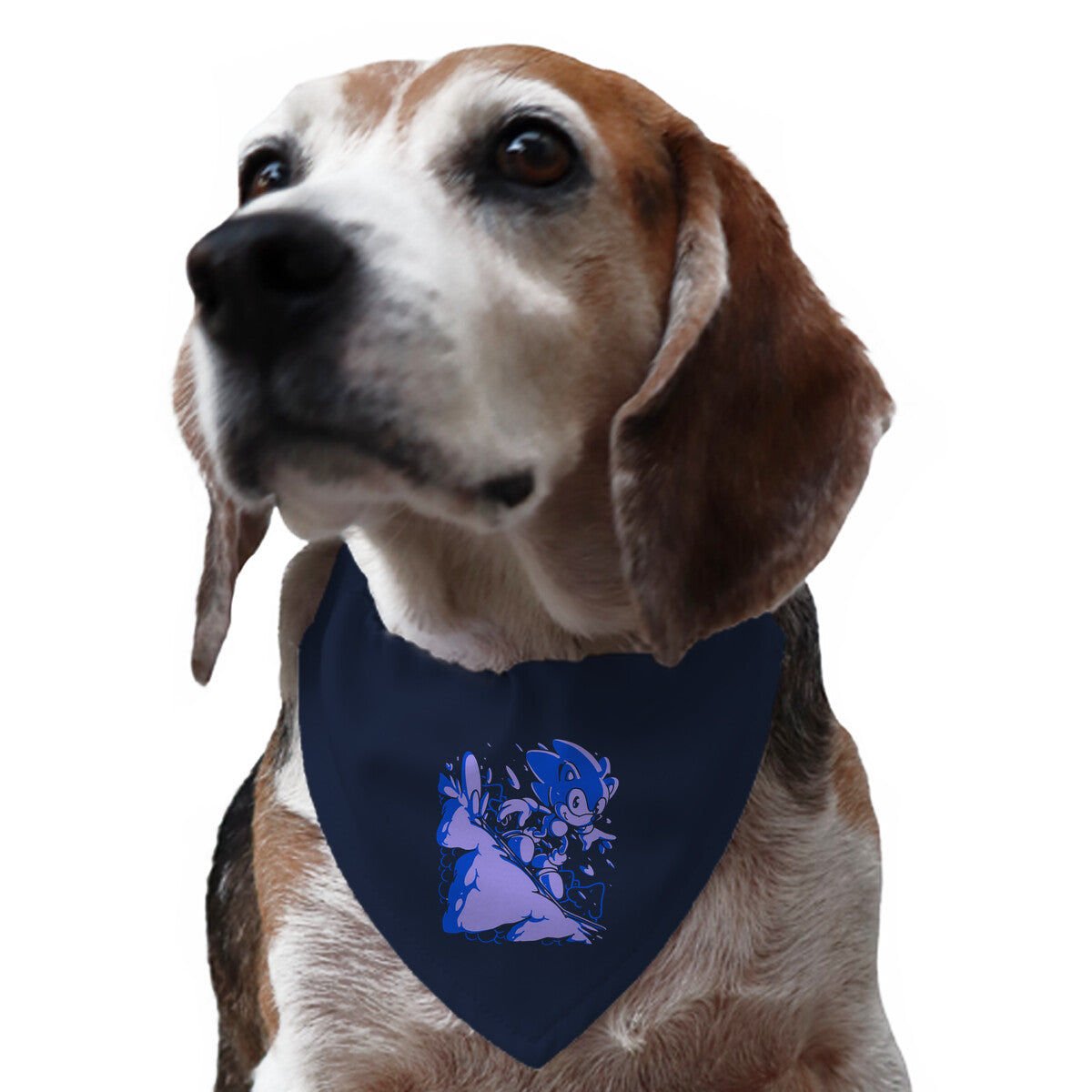 Ice Cap Zone-dog adjustable pet collar-estudiofitas by TeeFury
