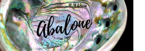 Abalone Meaning: Spiritual Properties Abalone Uses