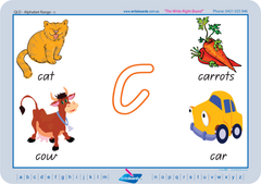 Special Needs Handwriting Kit for QLD Modern Cursive Font includes free lowercase worksheets and flashcards