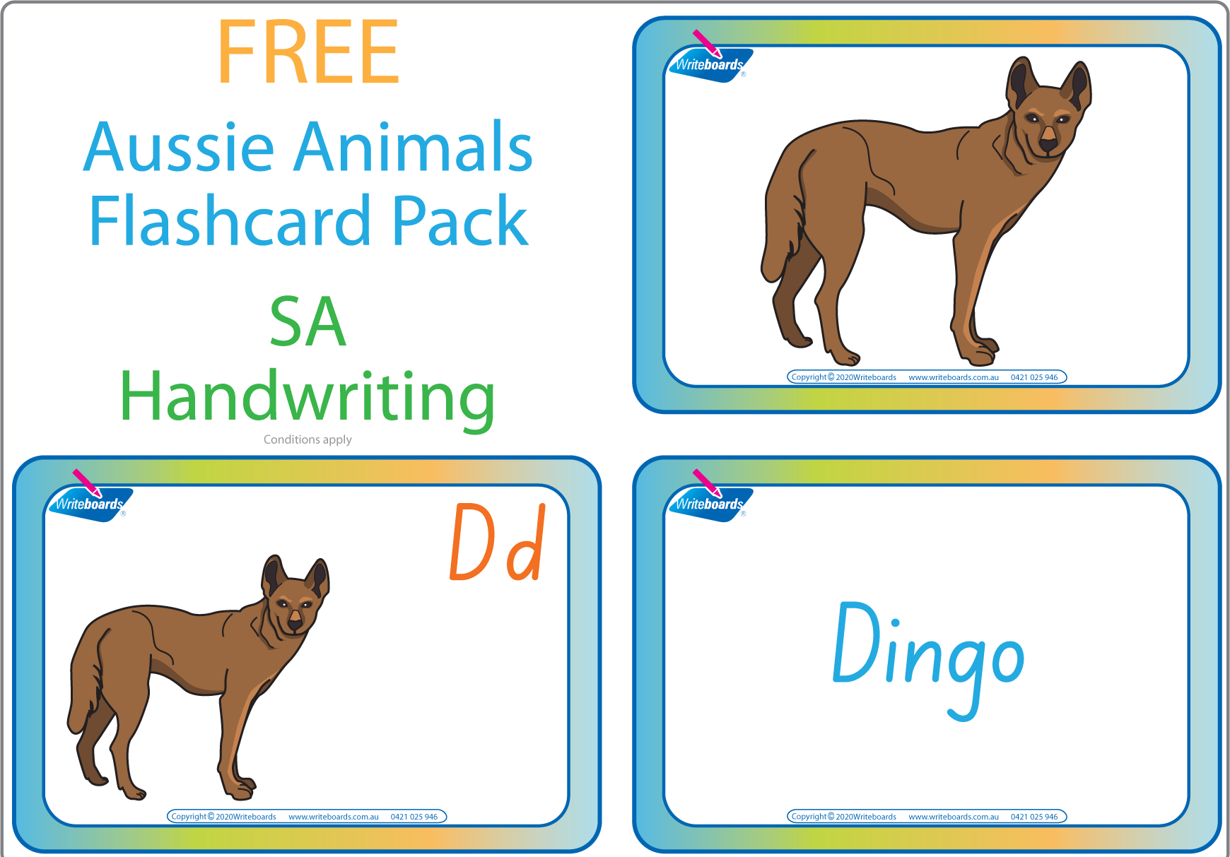 cache bande Alfabet Australian Animal Alphabet Flashcards - SA Modern Cursive Font