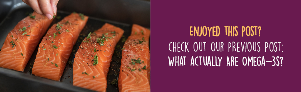 Dineamic Blog | What Actually Are Omega-3s?