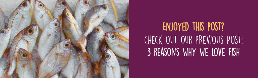 Dineamic Blog Post | 3 Reasons We Love Fish