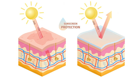 How the UV rays affect your skin