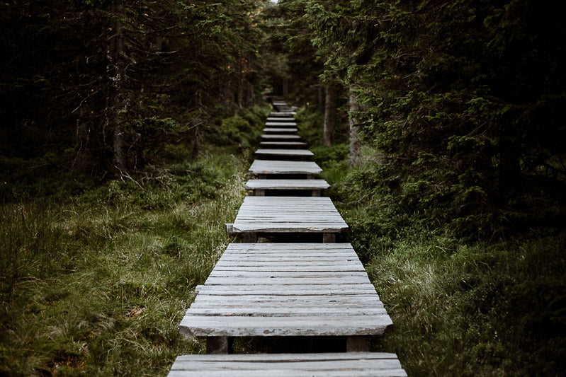 Travelling Basket Journal - Low Tatra and Karkonosze Mountains - photo 13