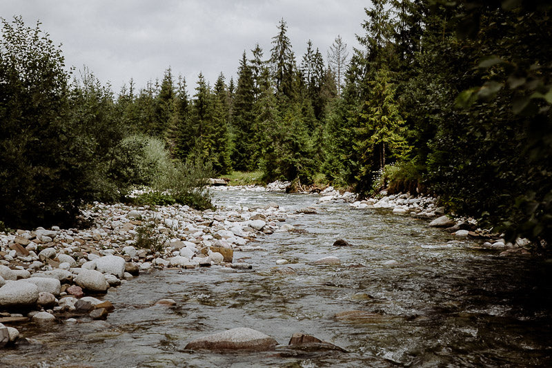 Travelling Basket Journal - Low Tatra and Karkonosze Mountains - photo 3