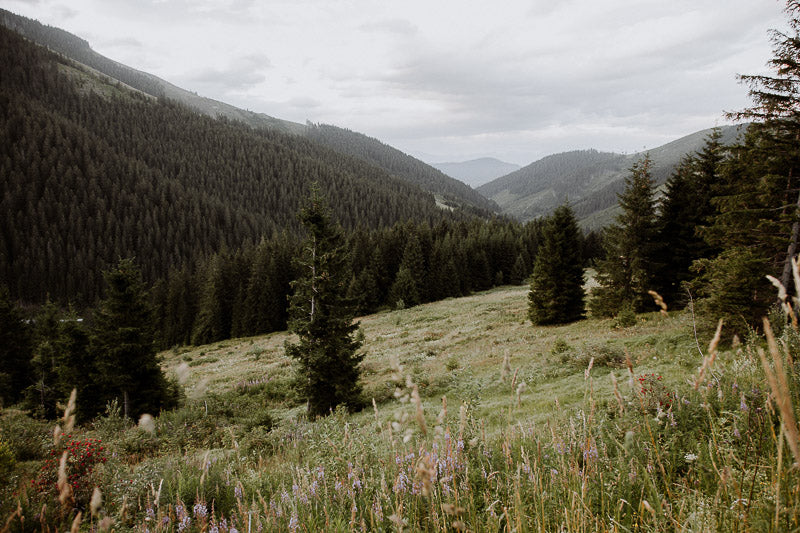 Travelling Basket Journal - Low Tatra and Karkonosze Mountains - photo 6