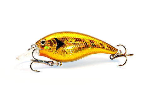 Alosa Minor - Golden crankbait