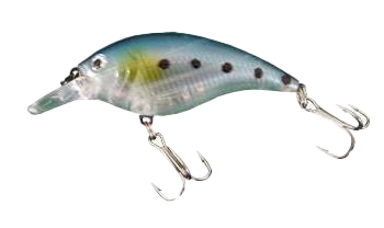 Alosa Minion - Golden Crankbait – Kanan Lures