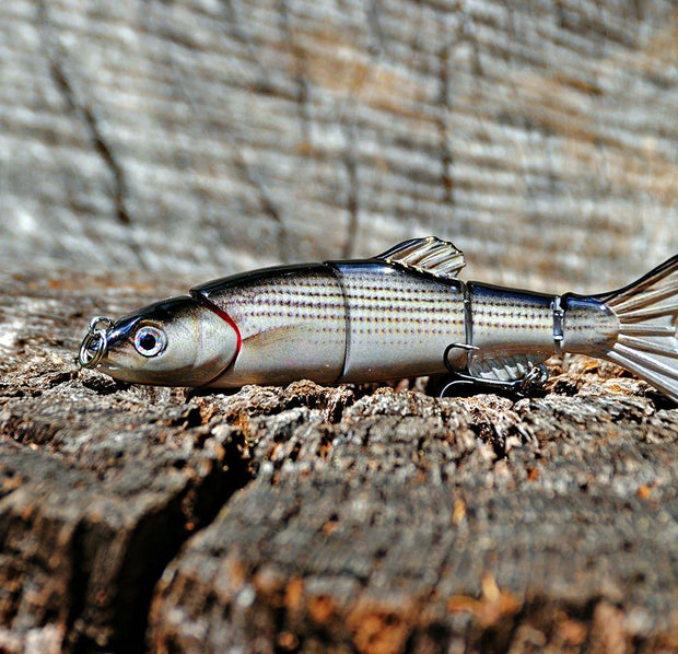 Aqua Relic Minnow - River Chub Swimbait – Kanan Lures