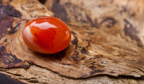 A real red color sphere-sized carnelian raw crystal placed on a mossy old tree stump. Carnelian is a powerful crystal that can promote energy, creativity, and motivation. #CarnelianRaw #CrystalHealing #Energy #Creativity #Motivation #Sphere #Tree #Moss