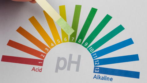 pH level of alkaline water