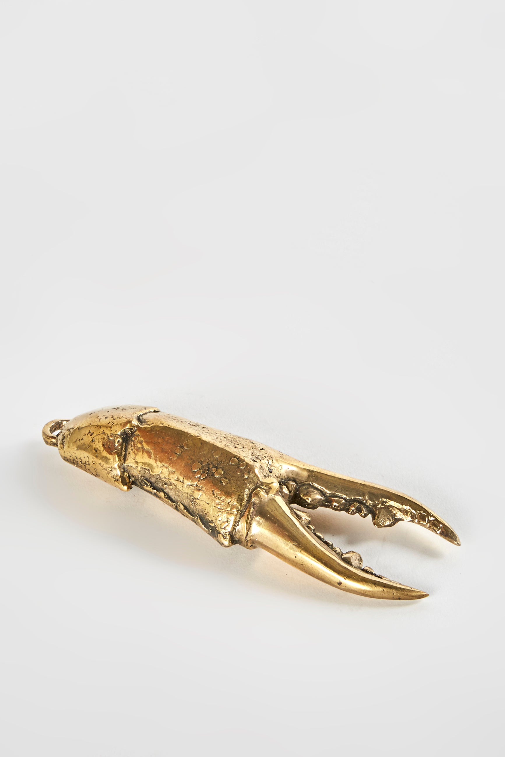 Crab Claw Bottle Opener Clo Studios