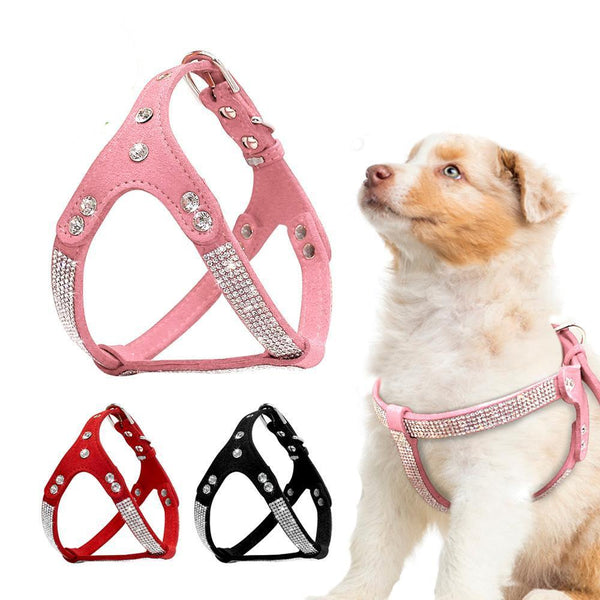 pet collars and harnesses