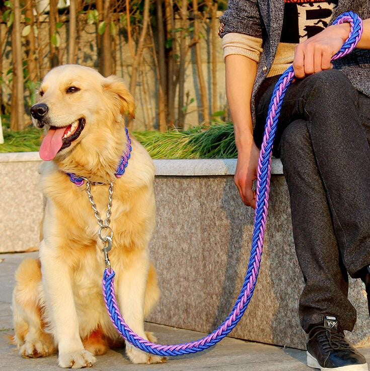 Dog Collar; Large Dog Leash; Pet 