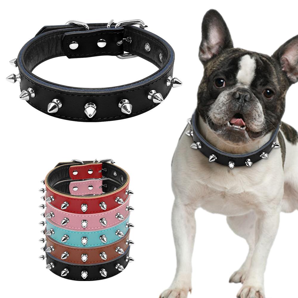 medium dog collar