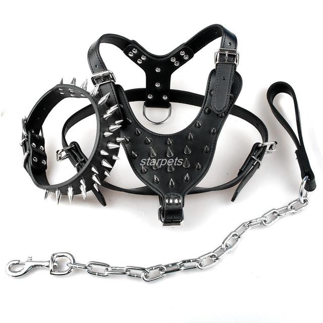 harness collar and leash sets