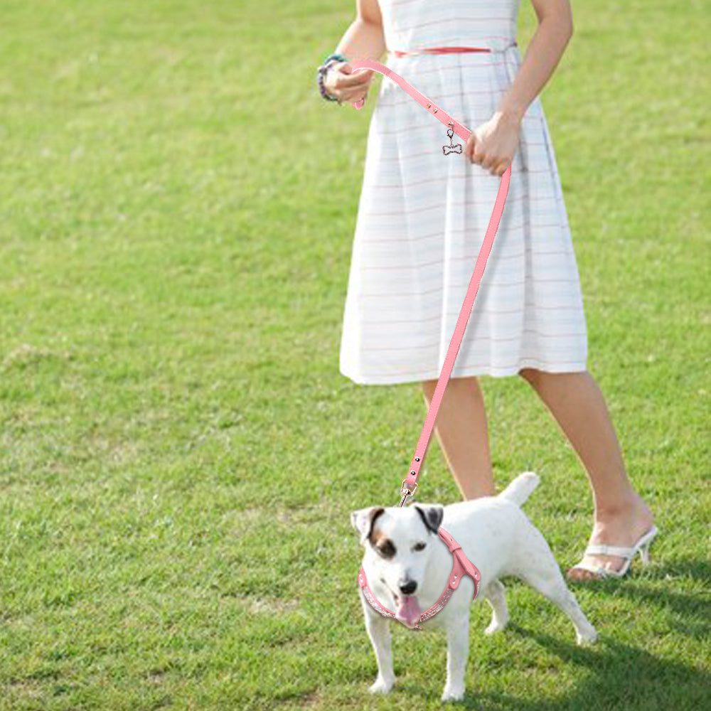 dog harness and leash set