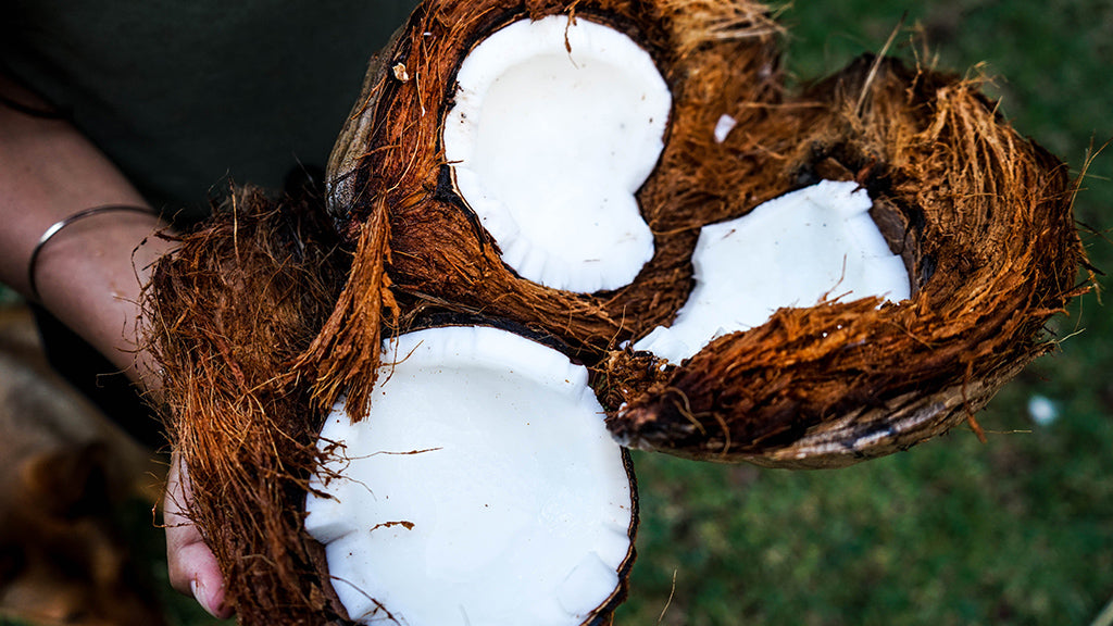 C - like Coconut