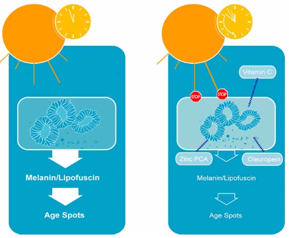 Prevents age spots and sun spots