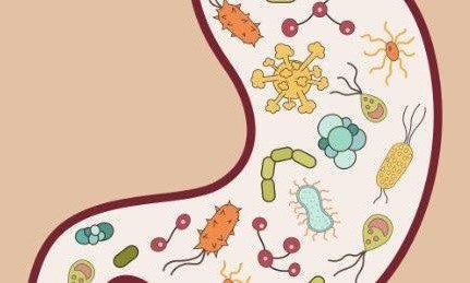 leaky gut and ibs