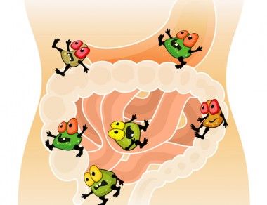 gut bacteria