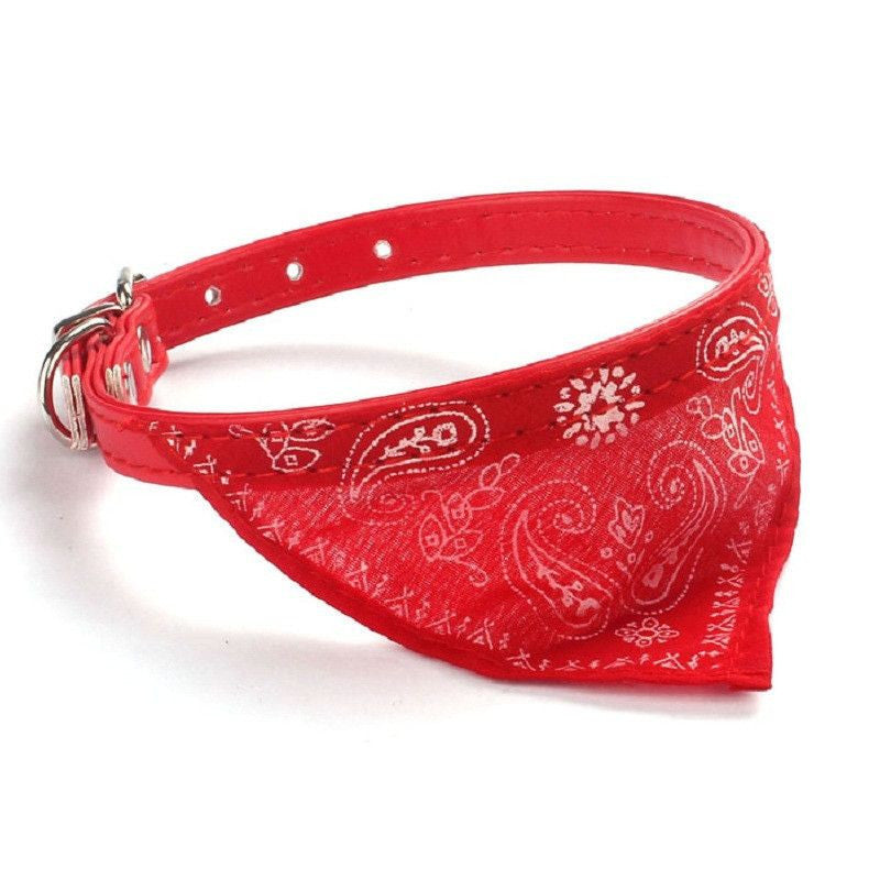 pets at home bandana