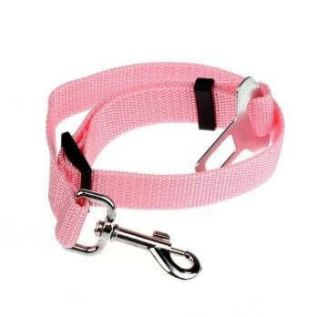 pet belt