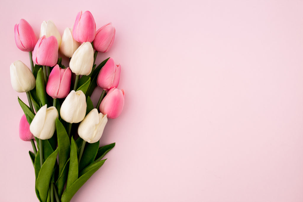 As tulipas são flores muito atraentes para as mulheres.