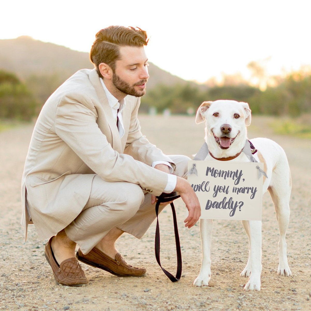 Ask your pet for help in proposing marriage