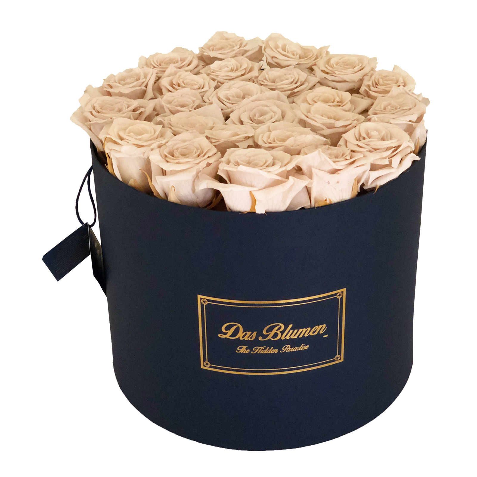 Estuche Cilíndrico Premium Rosas Eternas – Eleganza Regalos